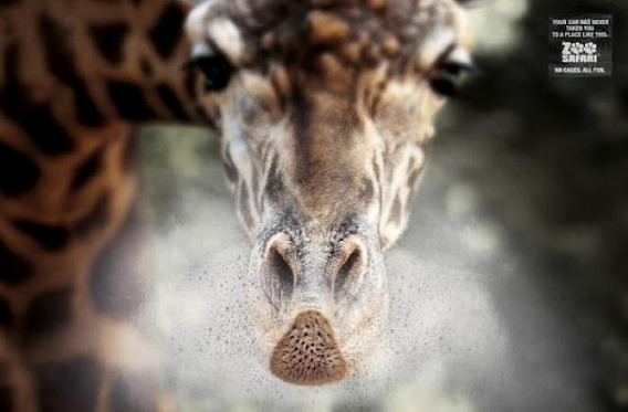 zoo_1700