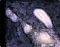 ある学生たちが実際に体験した「樹海」での出来事・・・