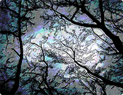 明るく楽しいあのテーマソングを短調にかえるとそこは不気味な混沌世界