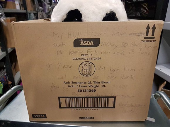 panda2_e