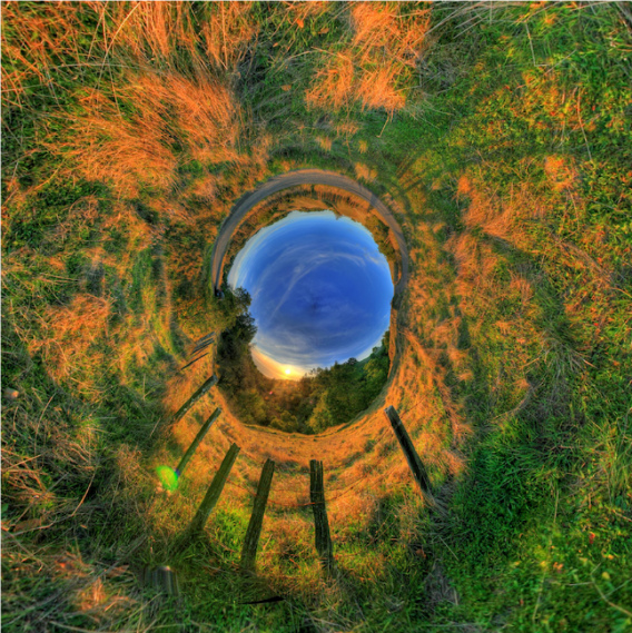 11