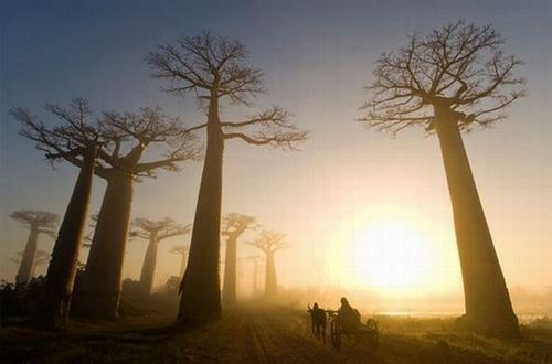 national_geographic_moments_33
