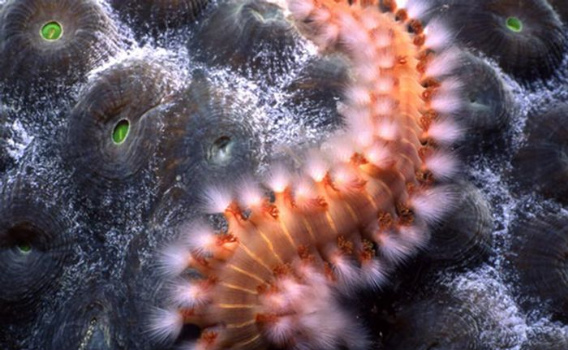 beautiful_award_winning_photos_29