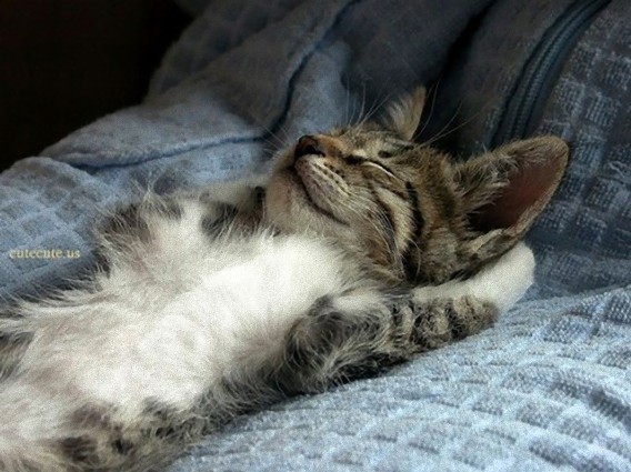 tired_640_28_e