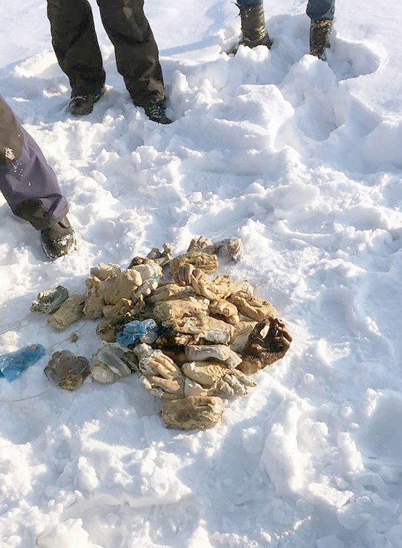 【ロシア】シベリアの川辺で発見された54の人間の手首。一体何が？（ロシア）※閲覧注意[03/14]
