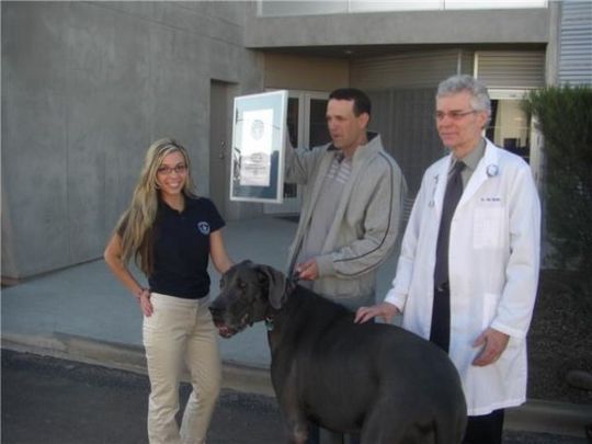 Worlds_Tallest_Dog_10