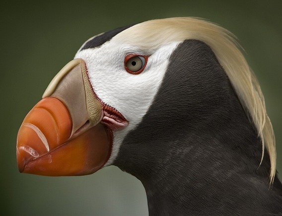 5551