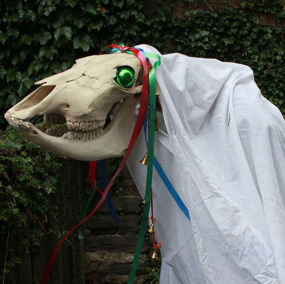 馬の骸骨を持った白装束が家々を訪ねる。イギリス・ウェールズの伝統行事「マリ・ルイード」