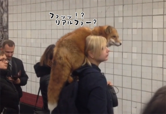 一方ロシアでは、キツネのリアルファー（まるごと生体）を身に着けた女性が地下鉄に乗ろうとしていた