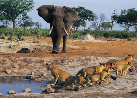 the_clashes_of_640_08