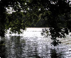 雄蛇ヶ池に現れた霊！？（千葉県）