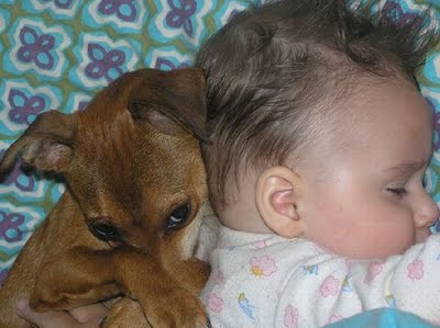 kids-and-animals-20