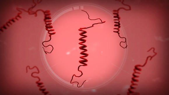 プリオン病は脳に30年間潜伏し、時が来たら素早く襲撃をしかける（米研究）