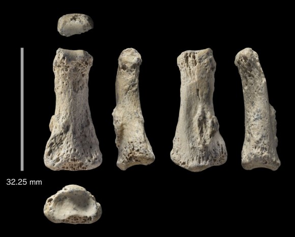 人類の移住史が書き換えられるのか？8万5000年前の人類の指の化石がサウジアラビアで発見される。