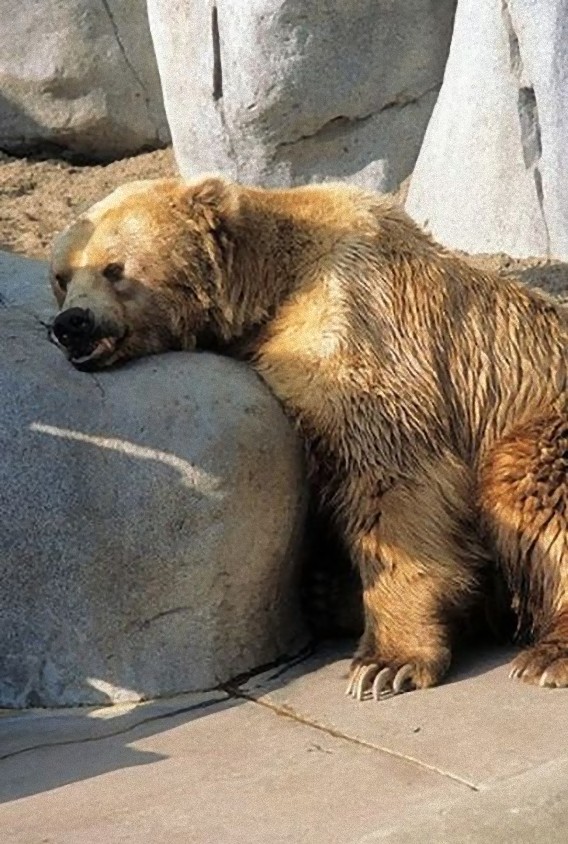 tired_640_08_e