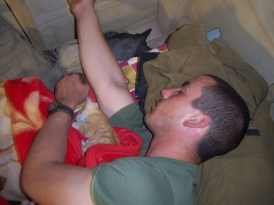 kittens_found_by_us_marines_in_afghanistan_07