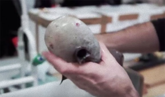 カオナシだと？オーストラリアで顔のないのっぺらぼうな深海魚が捕獲される