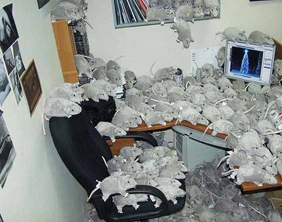 awesome_office_cube_pranks_15