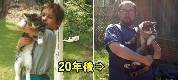 ペットと共に。ペット共に成長していく子どもたちとペットの昔と今がわかる画像