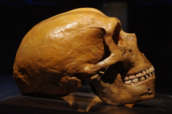 ネアンデルタール人とデニソワ人。ふたつの違う古代人類から生まれた子供の骨が発見される