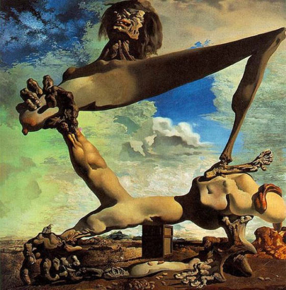 salvador_dali_optical_illusions_13