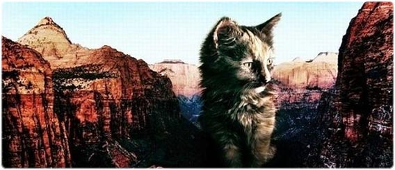 巨大化した猫が地球を襲う2012終末伝説「CATZILLA：キャットジラ」