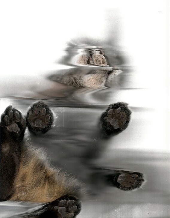 5_e
