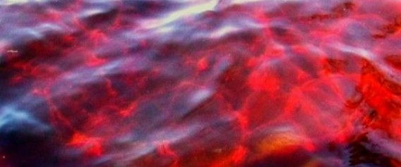 突然海の水が真っ赤に染まったウクライナのアゾフ海