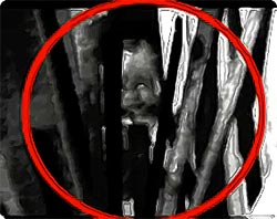 ゴーストハウス：廃墟に潜む人形のような顔をした少女の霊