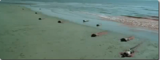 シーシェパードが作った、フカヒレをとるのをやめようキャンペーンＣＭ