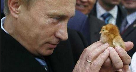 プーチンとプーチンがてなずけた動物たち、20枚の写真