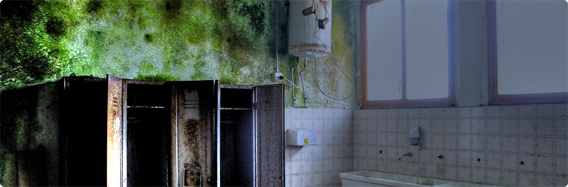 イタリア、フィレンツェにある屠殺場廃墟