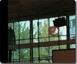 OP