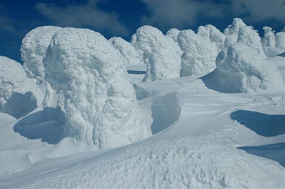 snow_20