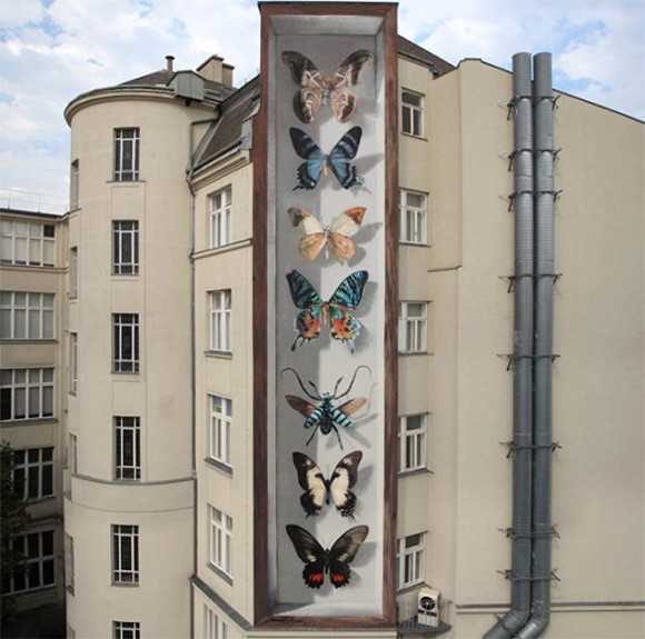 街中に突如現れた蝶の巨大標本！？立体的ペイントで建物の壁や町に標本箱を設置するプロジェクト