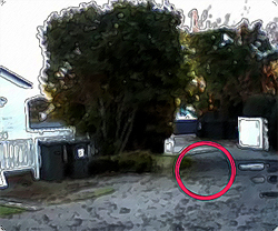 庭を横切る茶色い半透明状の物体、猫の霊であることが判明（ニュージーランド）