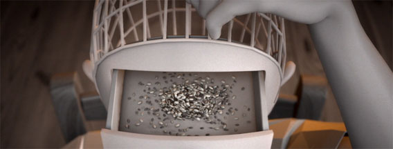 頭の中に鳥を飼っている少年のショートフィルム「Je m'appelle Nathan」