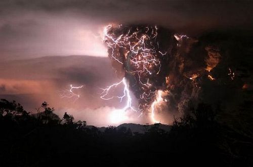 national_geographic_moments_30