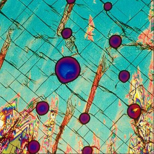 alcoholic_cocktails_under_microscope_25