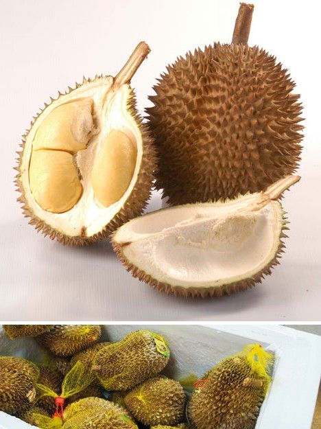 amazing_fruits_9x