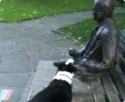 銅像と遊んでもらいたくて木の枝を足元に置く犬