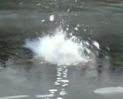 氷の張った池でロケット花火実験（動画）