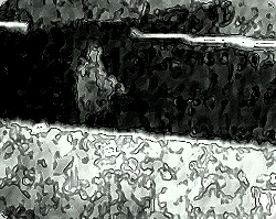 幽霊も車にはねられる！？新展開の超常現象映像