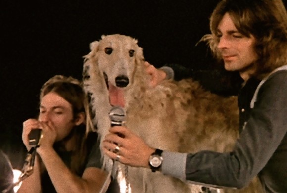 ピンク・フロイドに加入した犬のシーマス。これまでに動物を起用したバンドや楽曲。
