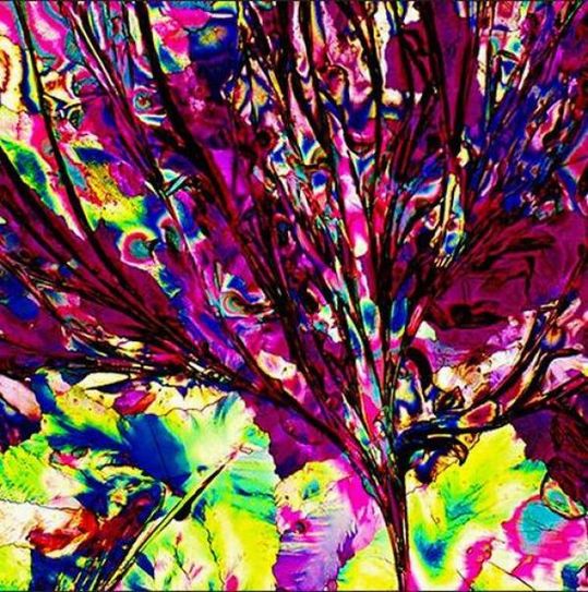 alcoholic_cocktails_under_microscope_18