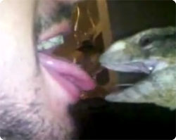 トカゲとチュウ？トカゲに自らの舌を差し出した男性、ぱっくり噛まれて大騒ぎ