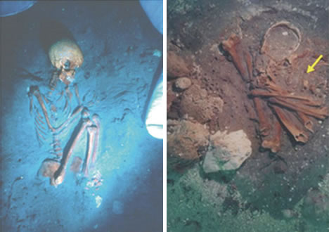 skeletons-science