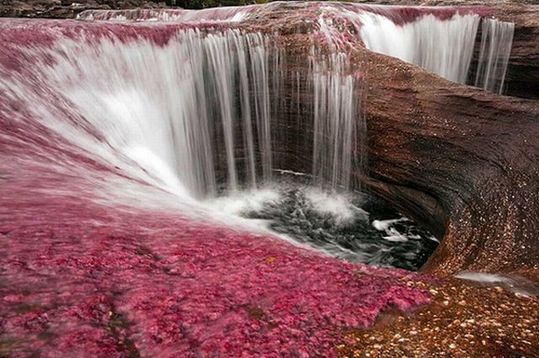 rainbow_river_13