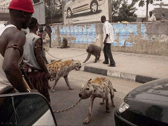 only_in_africa_13