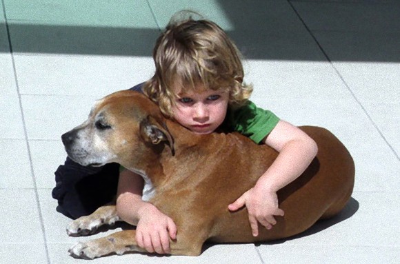 「なぜ犬の寿命は人間よりも短いのだろう？」 大親友だった愛犬がこの世を去った時、少年が語った感動の答え。